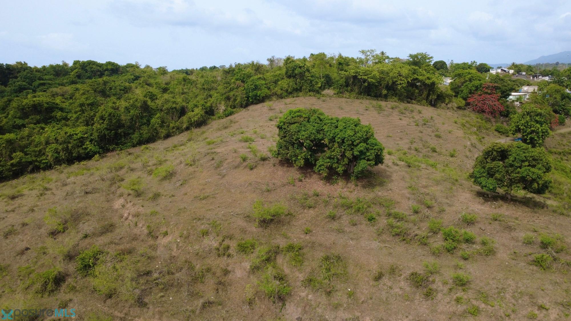 Terreno en Venta - Canovanas