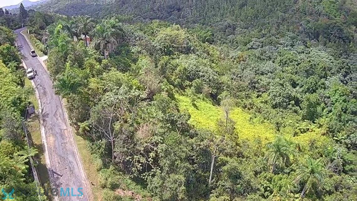 Terreno en Venta - Aguas Buenas