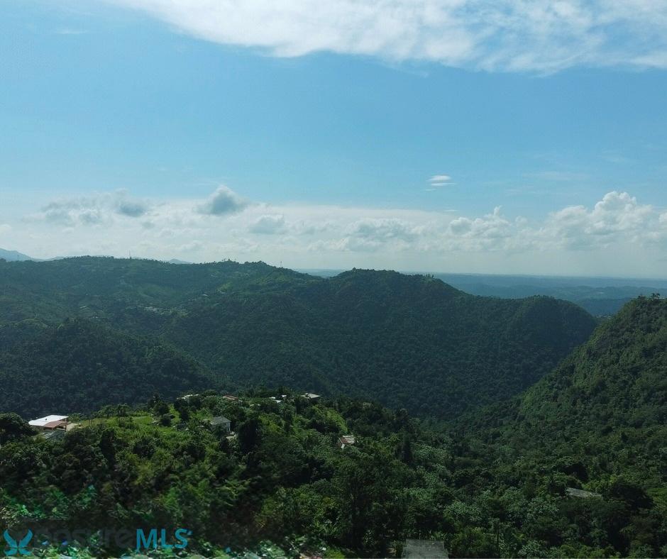 Terreno en Venta - Corozal