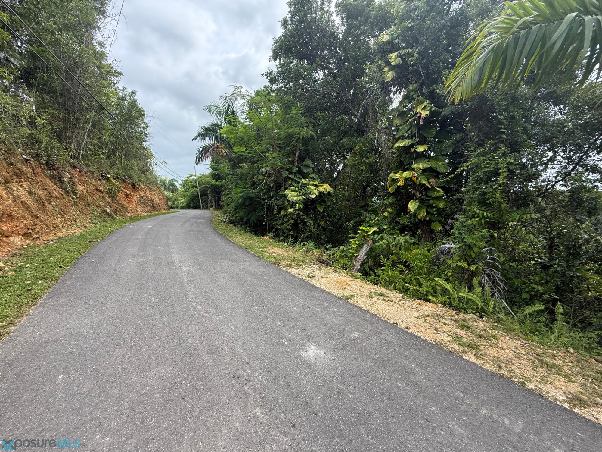 Terreno en Venta - Plana