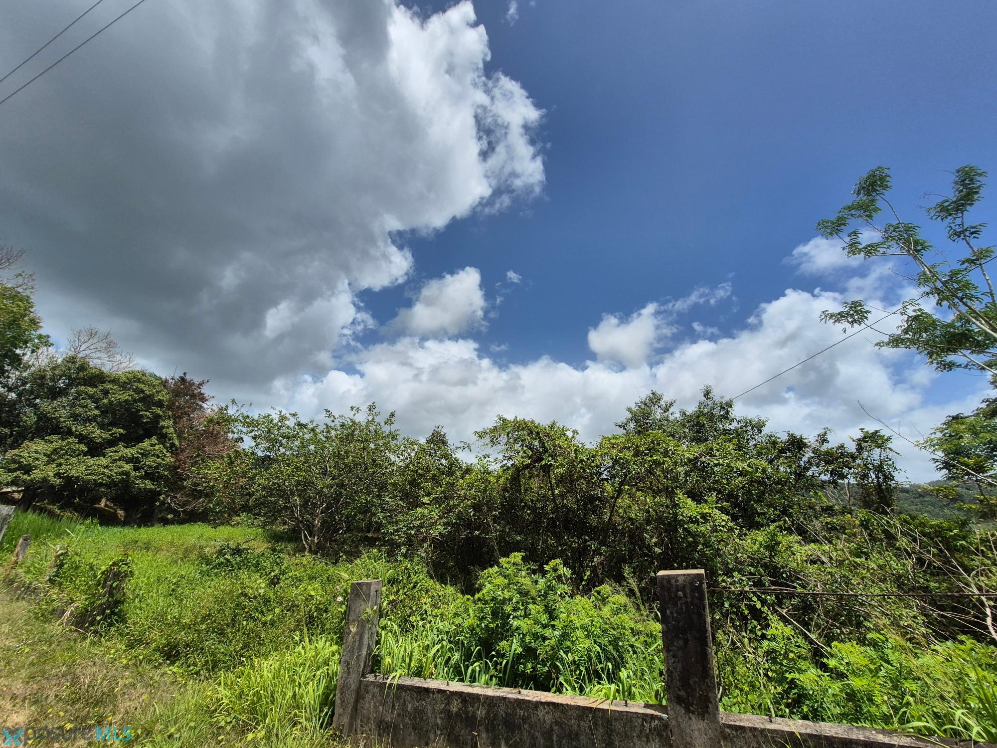 Terreno en Venta - Aguas Buenas