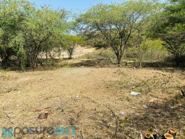 Terreno en Venta - Yauco