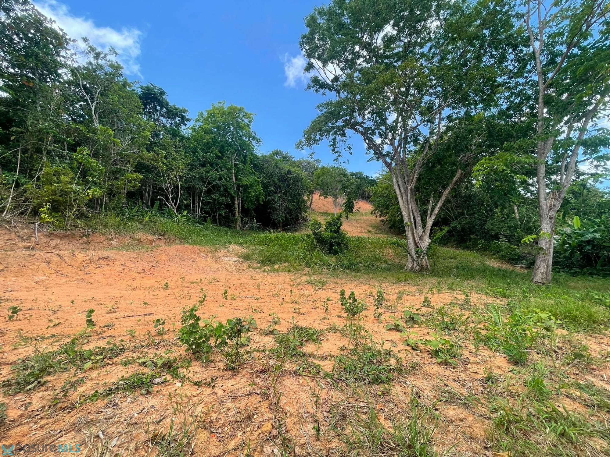 Terreno en Venta - Toa Alta