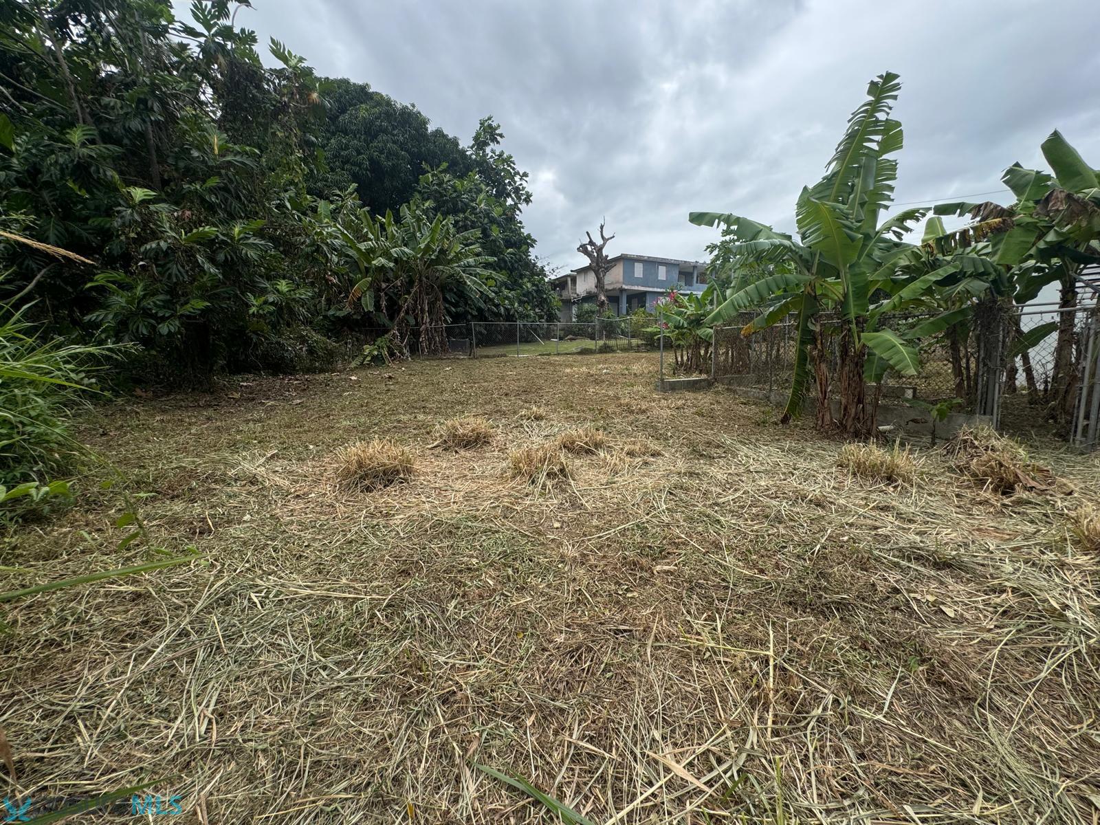 Terreno en Venta - Naguabo