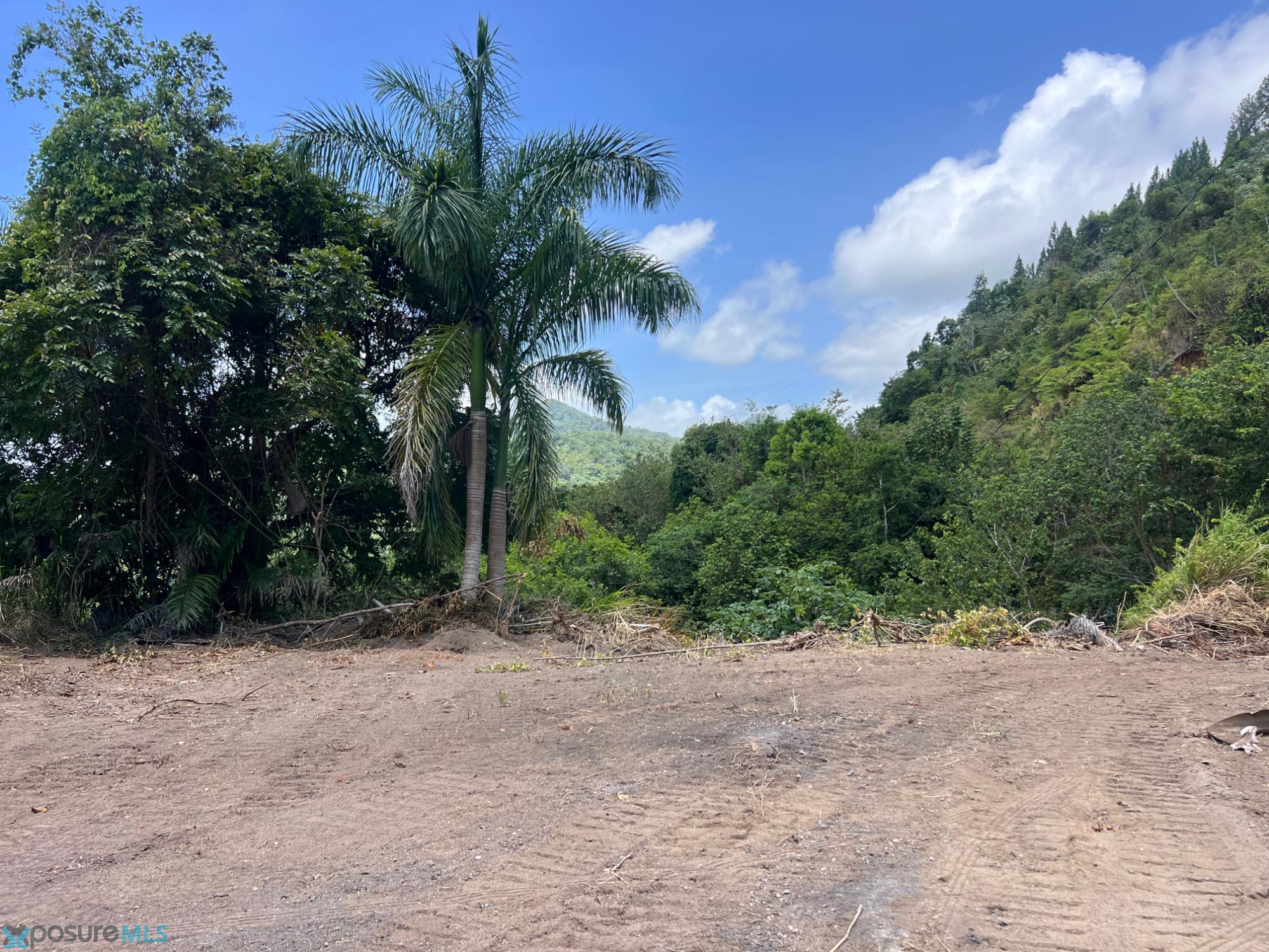 Terreno en Venta - Adjuntas