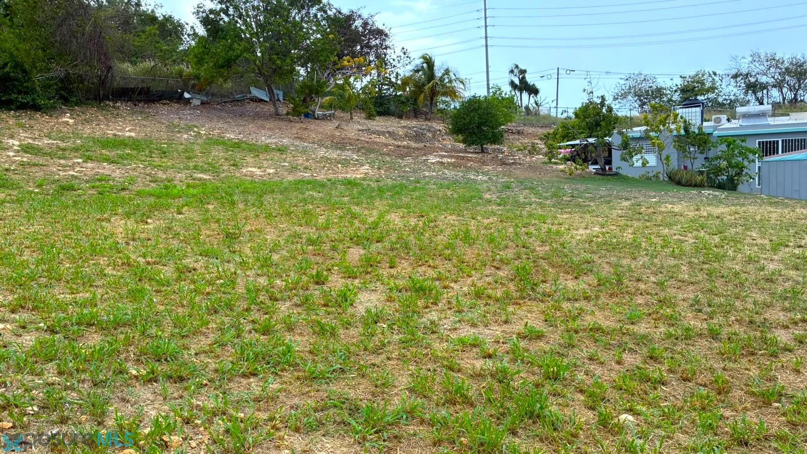 Terreno en Venta - Arecibo