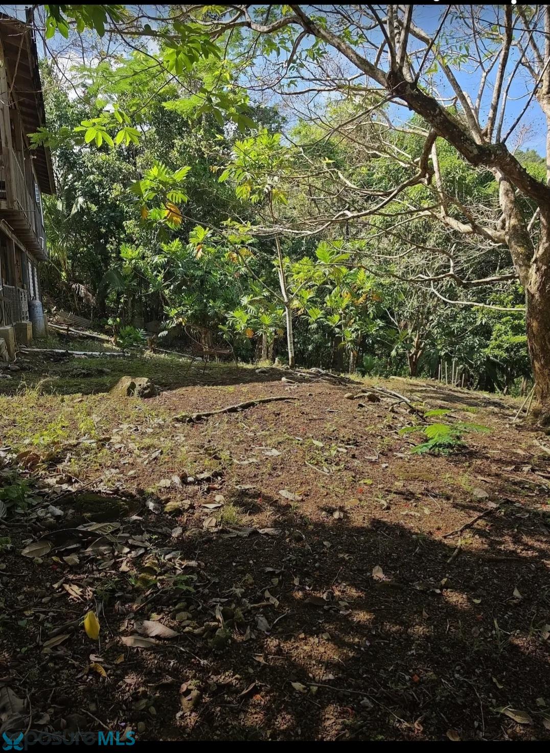 Santa Rita KM. 59 BARRIO SANTA RITA, SECTOR TULO ALEMÁN, GURABO #Gurabo - 00778 - Mountain,Multifamily - Gurabo