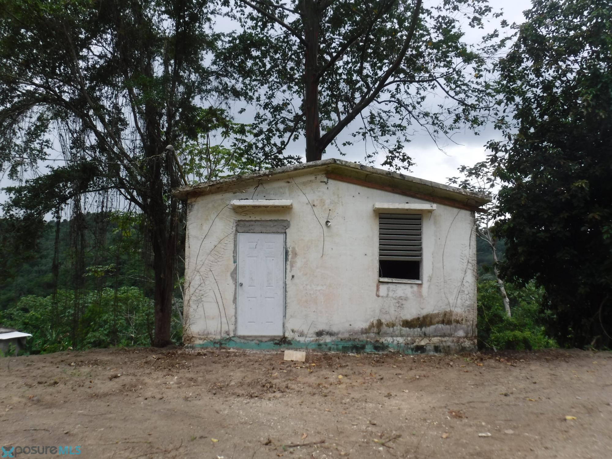 124 CARRETERA 124, KILOMETRO 23.8, LA CABANA, ESPINO, LARES - 00669 -  - Lares