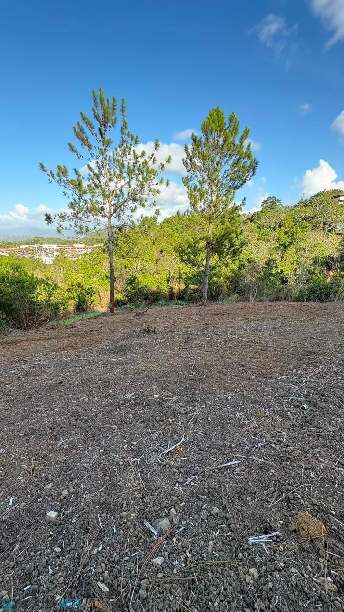 Terreno en Venta - Aibonito