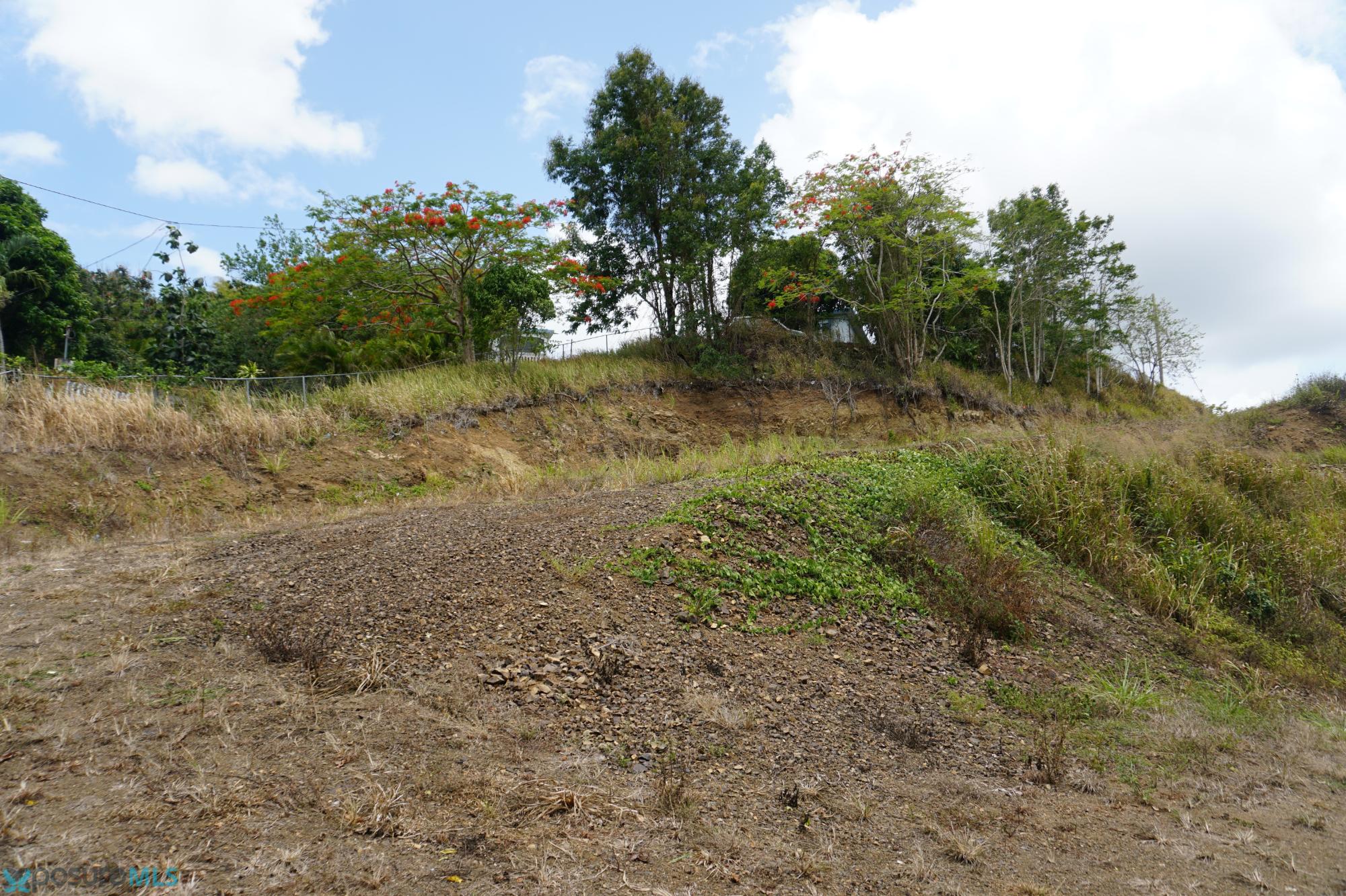 Terreno en Venta - Cayey