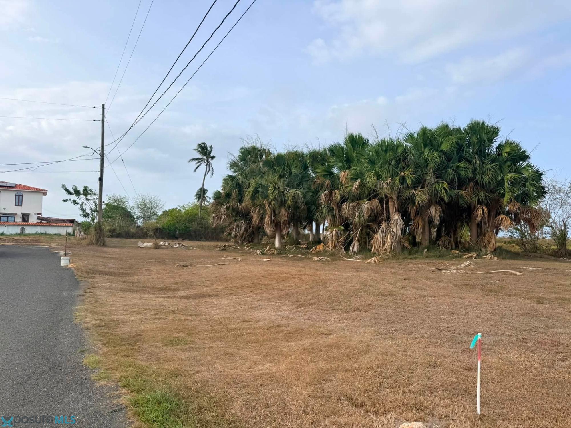 Terreno en Venta - Bejucos