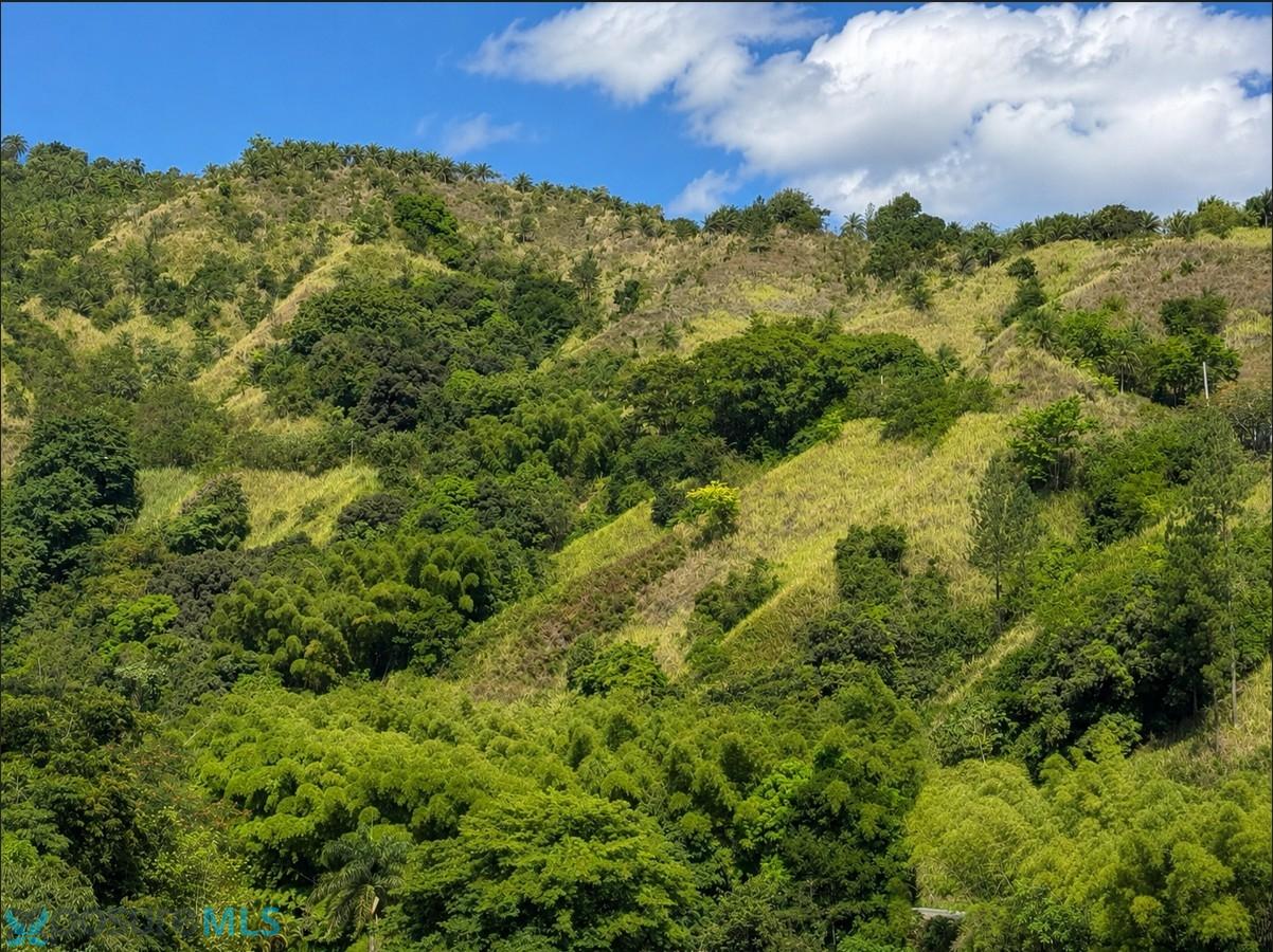 Terreno en Venta - Utuado