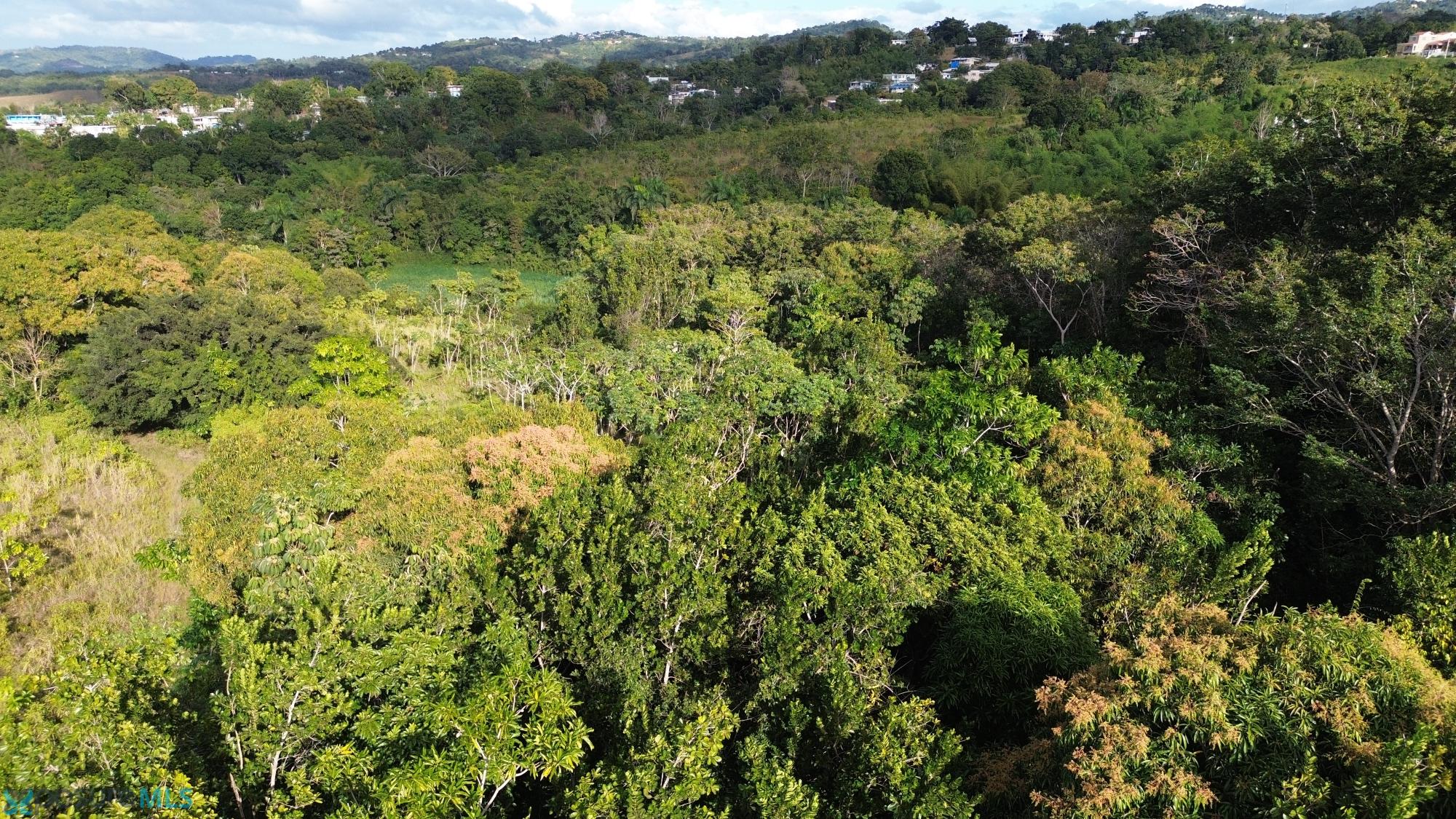 Terreno en Venta - Aguada