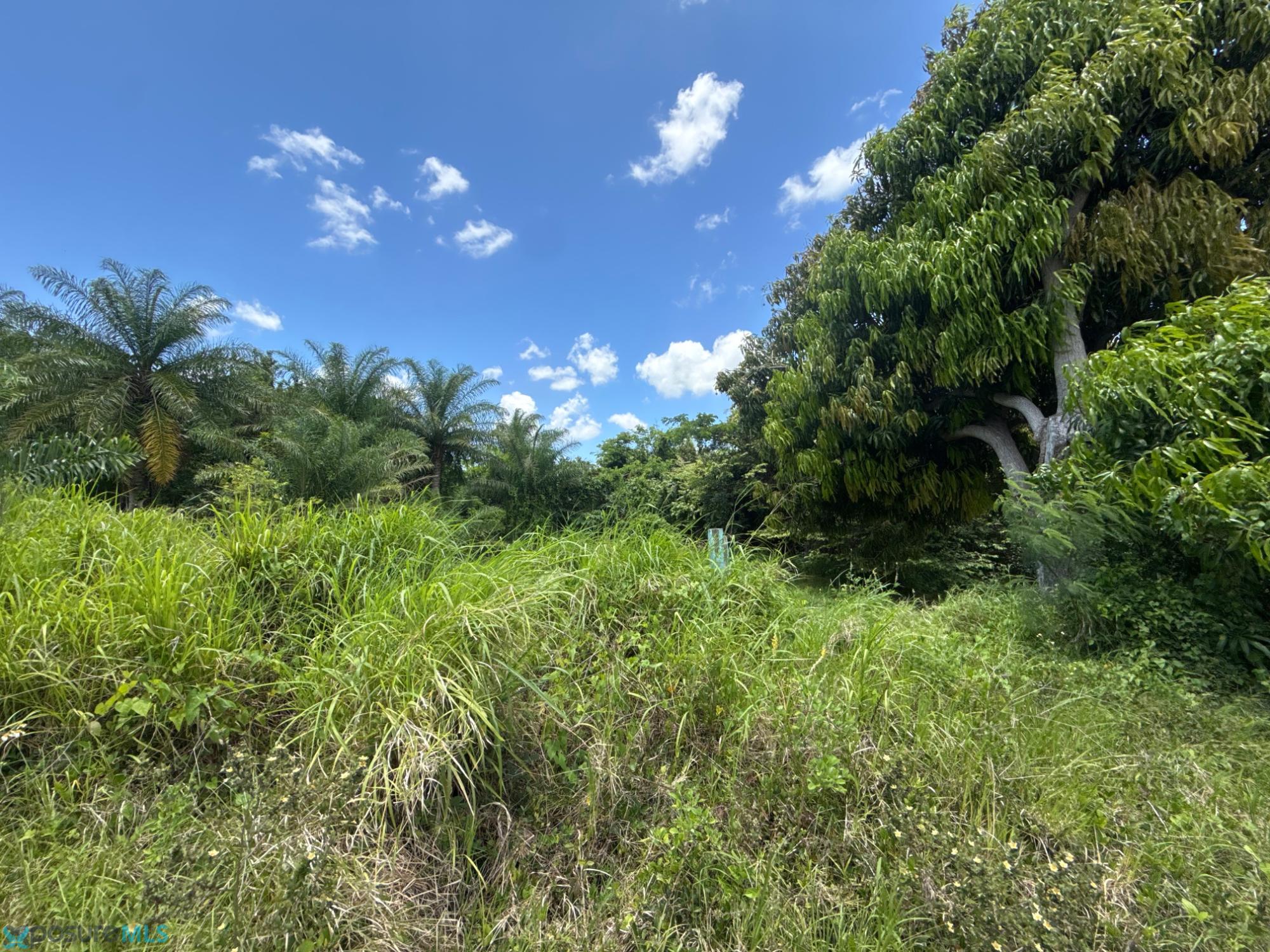Terreno en Venta - Sabana Grande