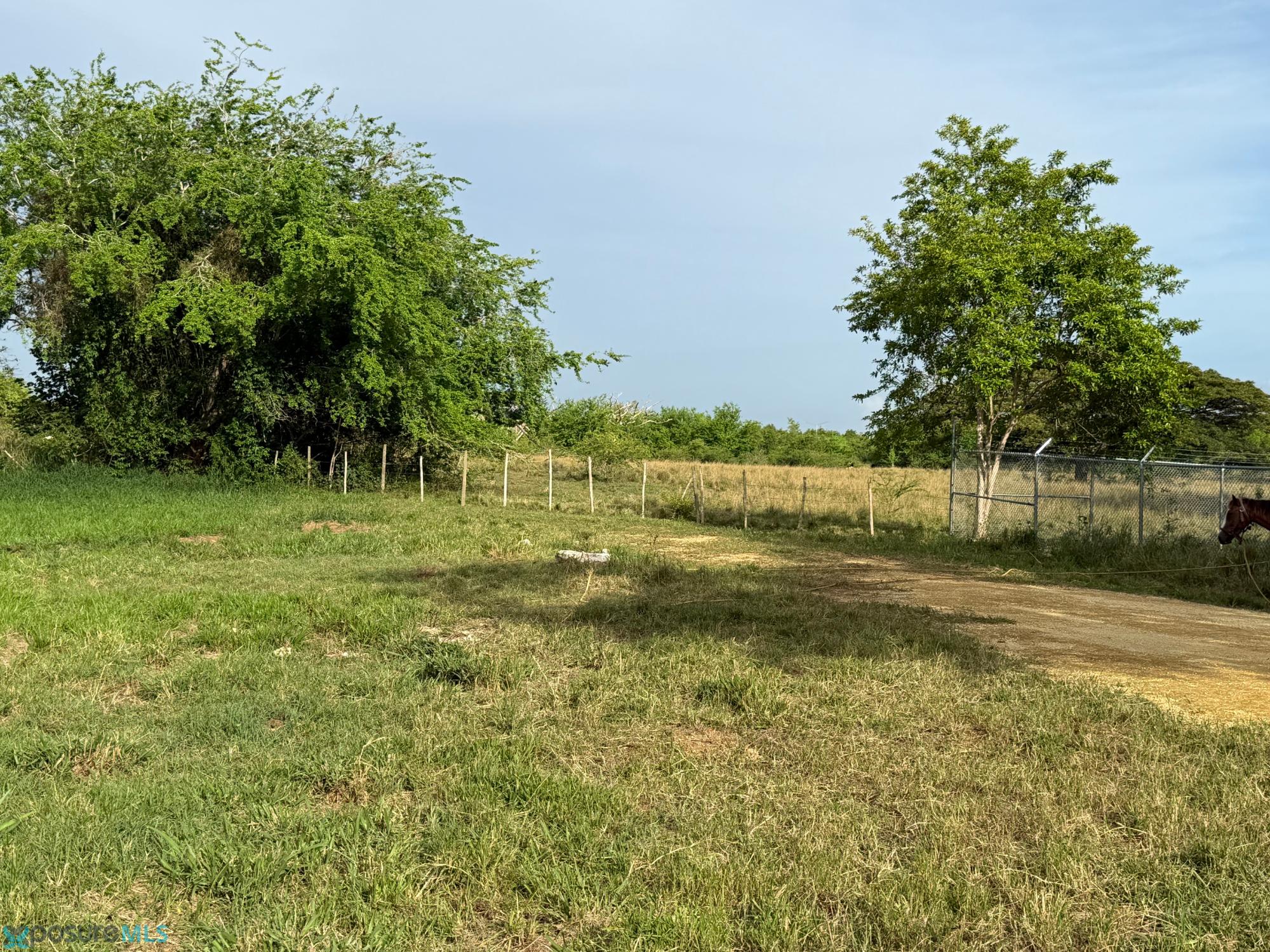 Terreno en Venta - Mora