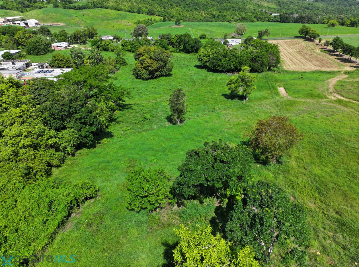 Terreno en Venta - Camuy