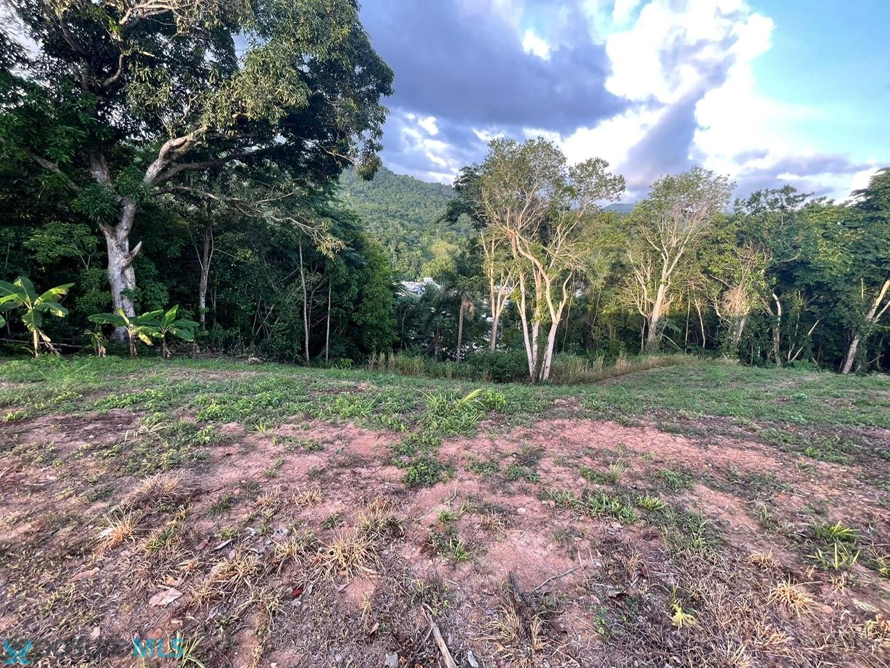 Terreno en Venta - Utuado