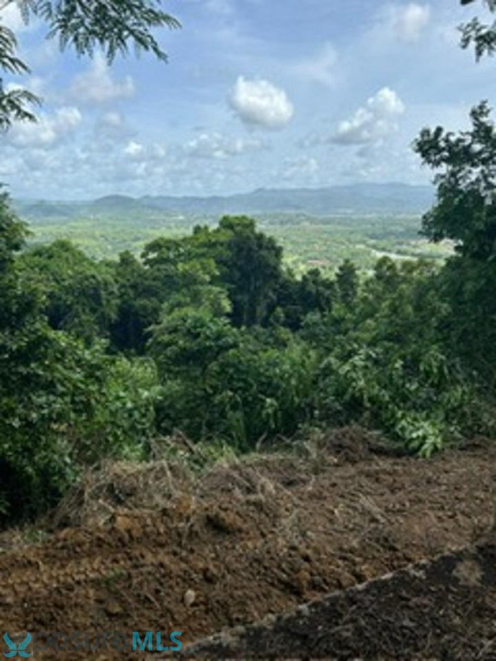 Terreno en Venta - Gurabo