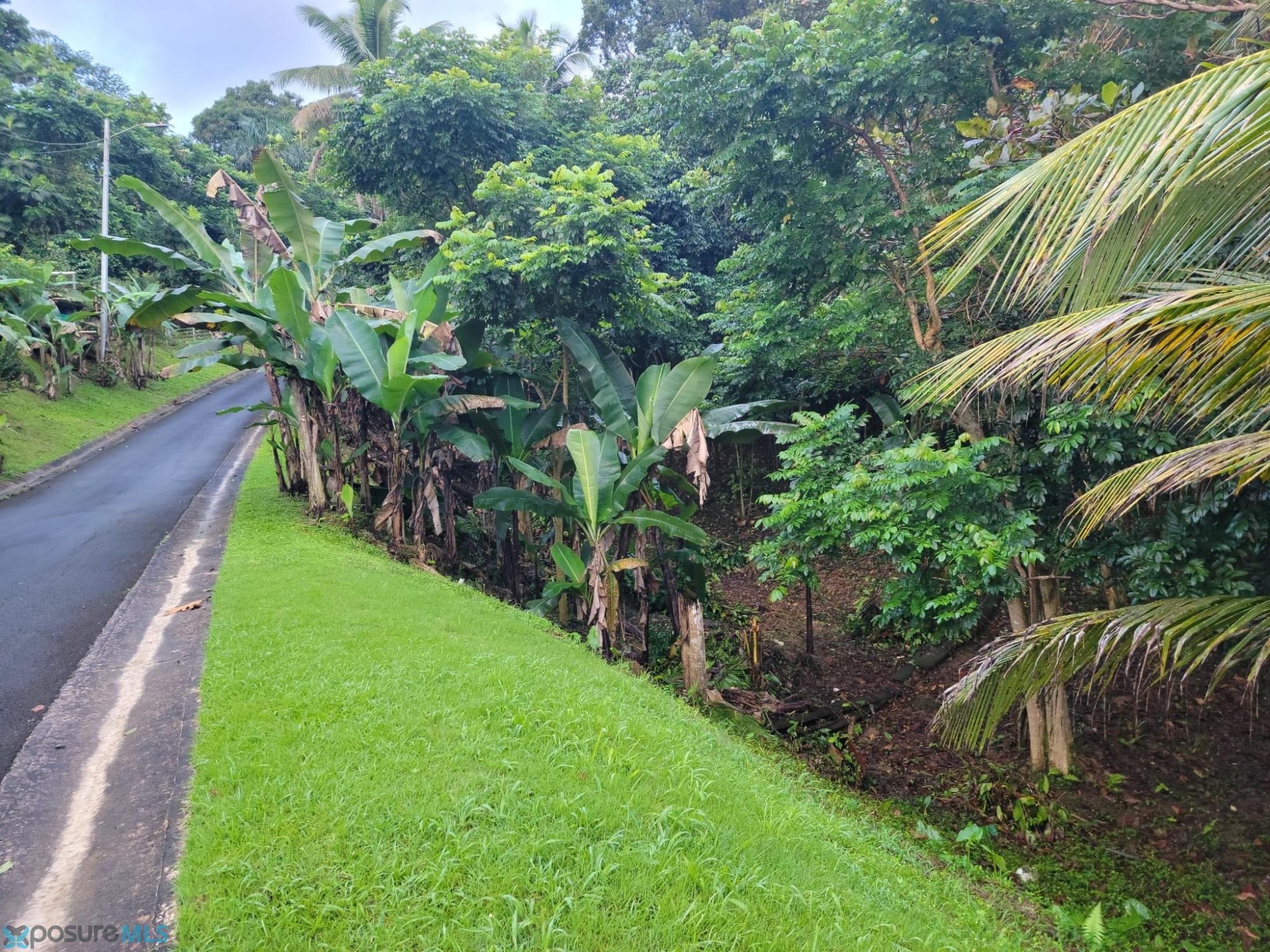 Terreno en Venta - Bayamón