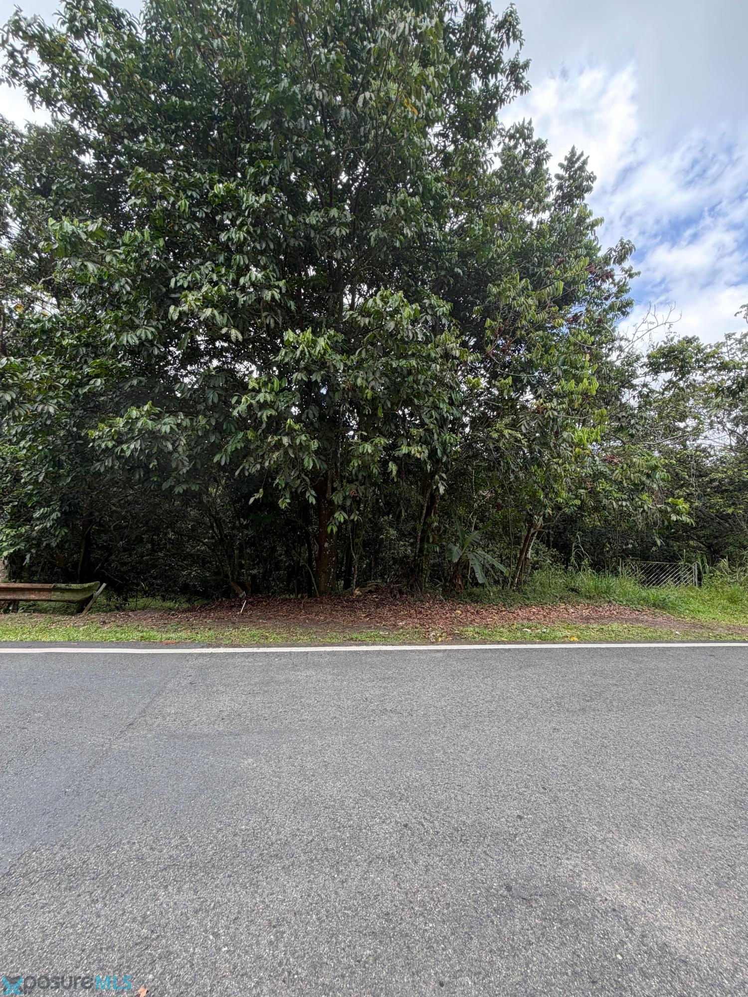 Terreno en Venta - Naranjito