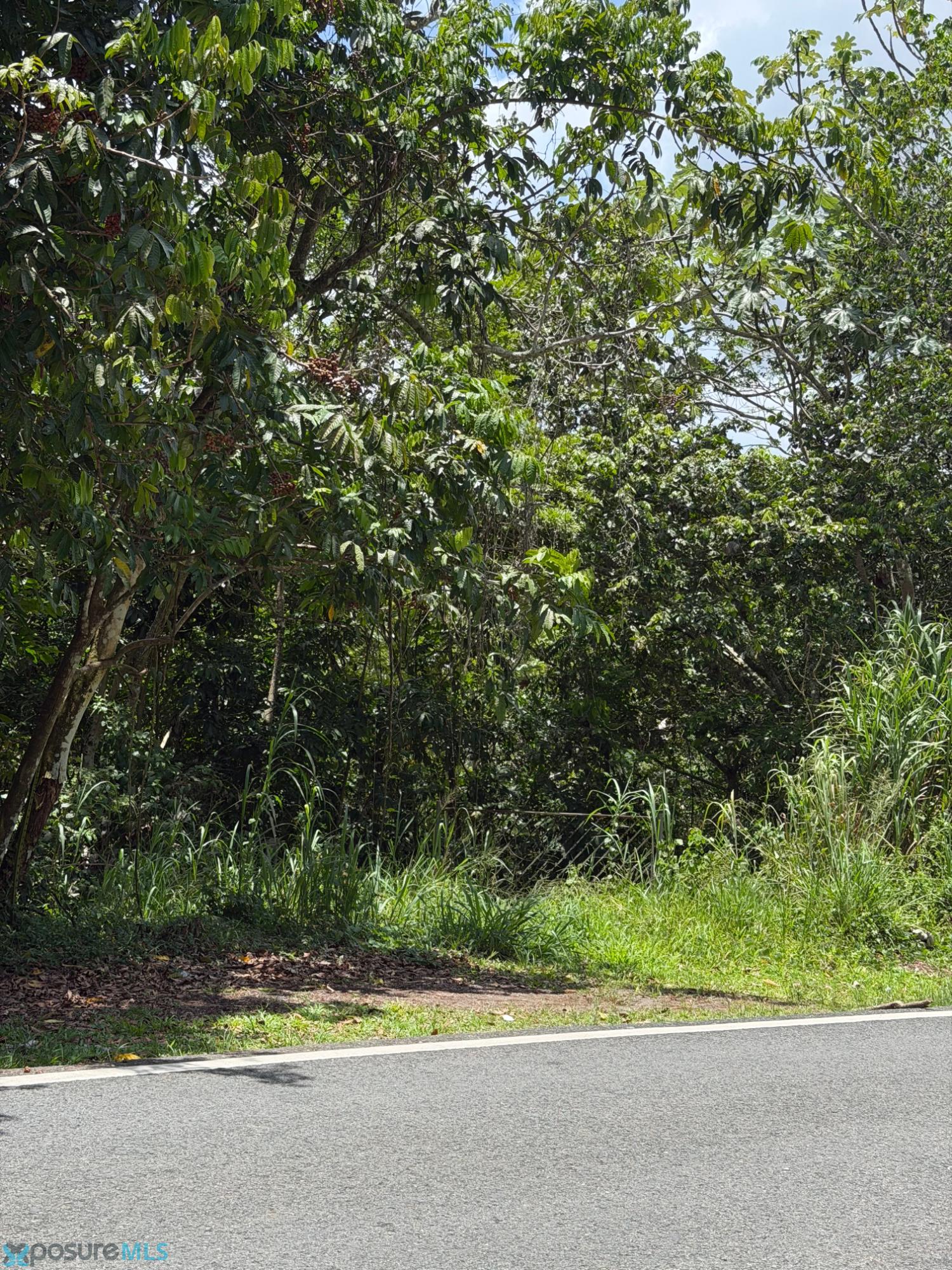 Terreno en Venta - Naranjito