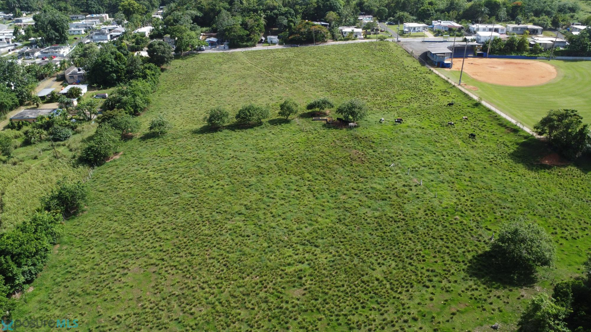 Terreno en Venta - Camuy