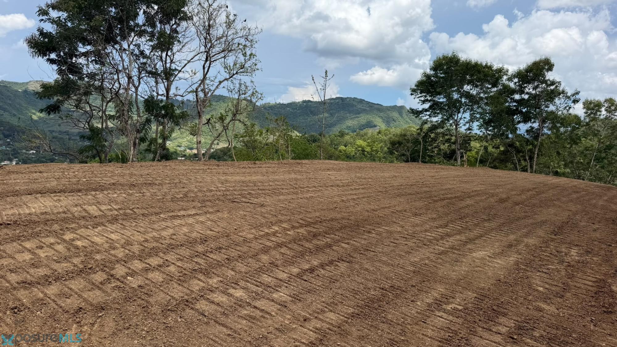 Terreno en Venta - Aibonito