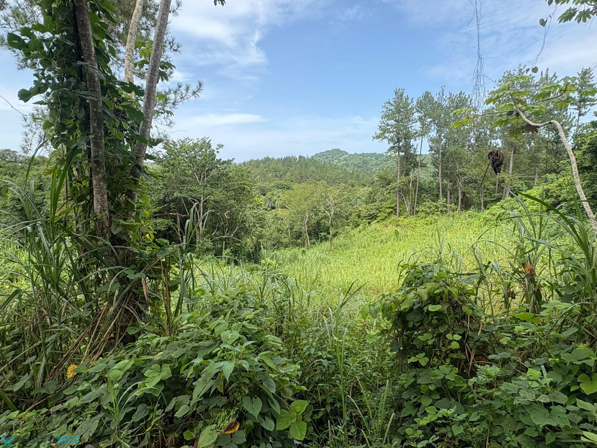 Terreno en Venta - Moca