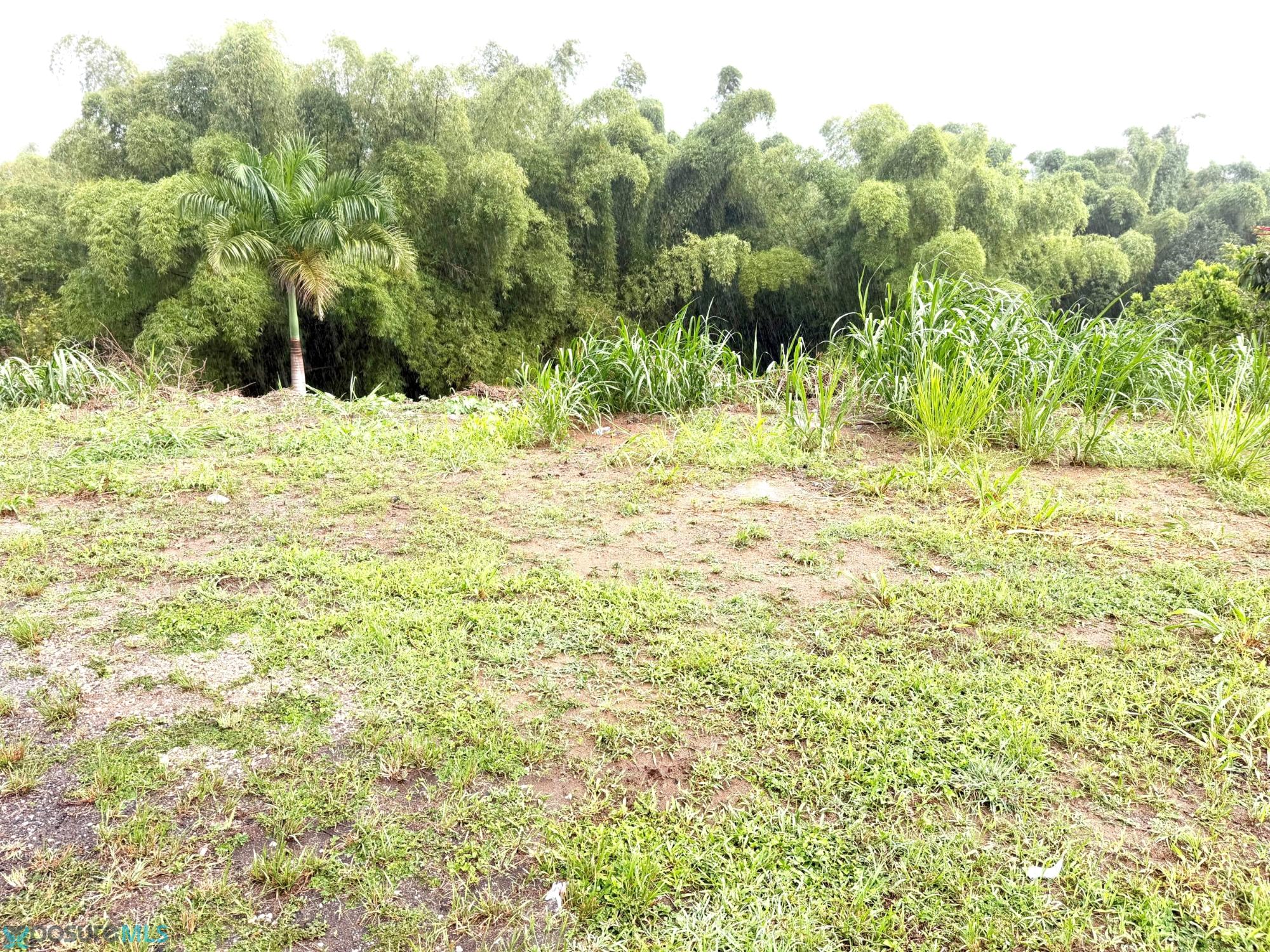 Terreno en Venta - Cidra