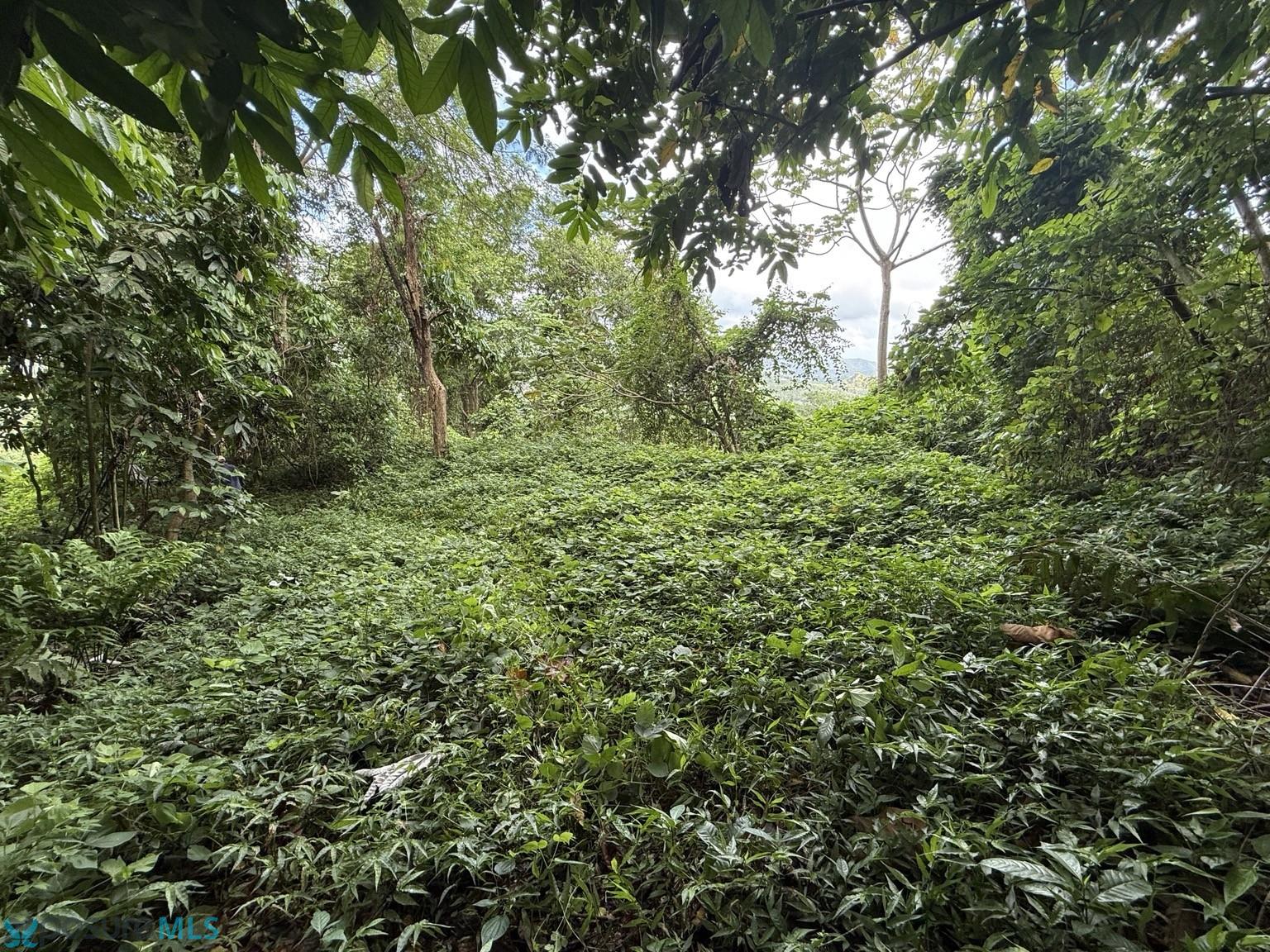Terreno en Venta - Caguas