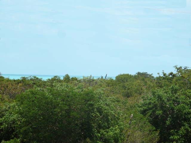 BIRD ROCK STREET — photo 3