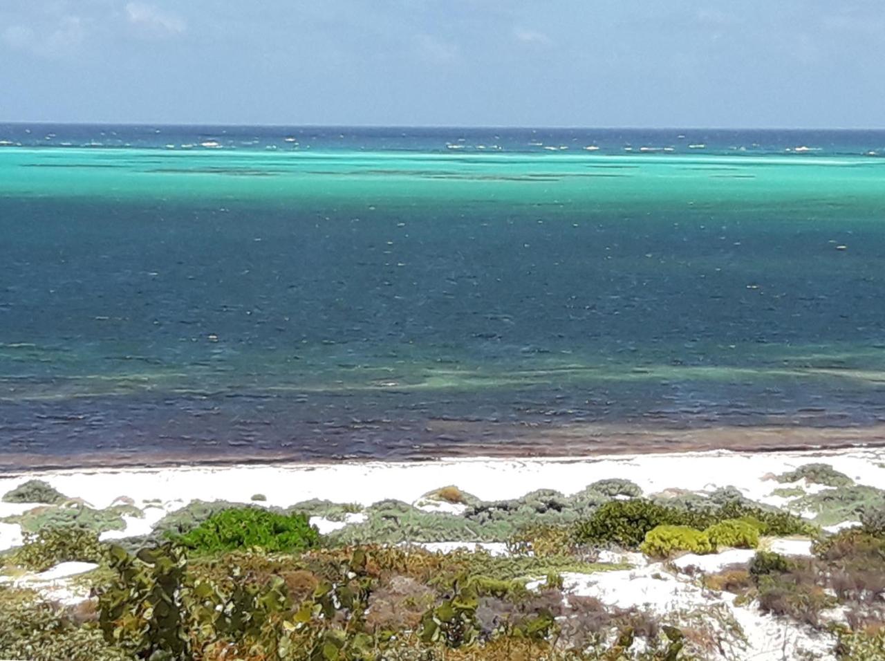 BEACHFRONT PANORAMIC VIEW — photo 5