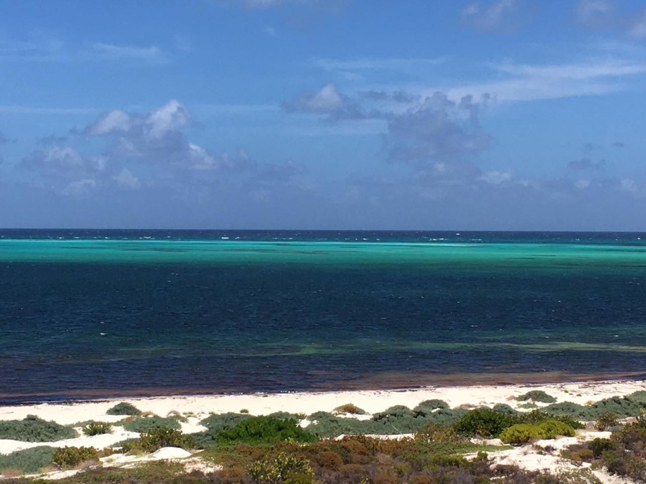 BEACHFRONT PANORAMIC VIEW