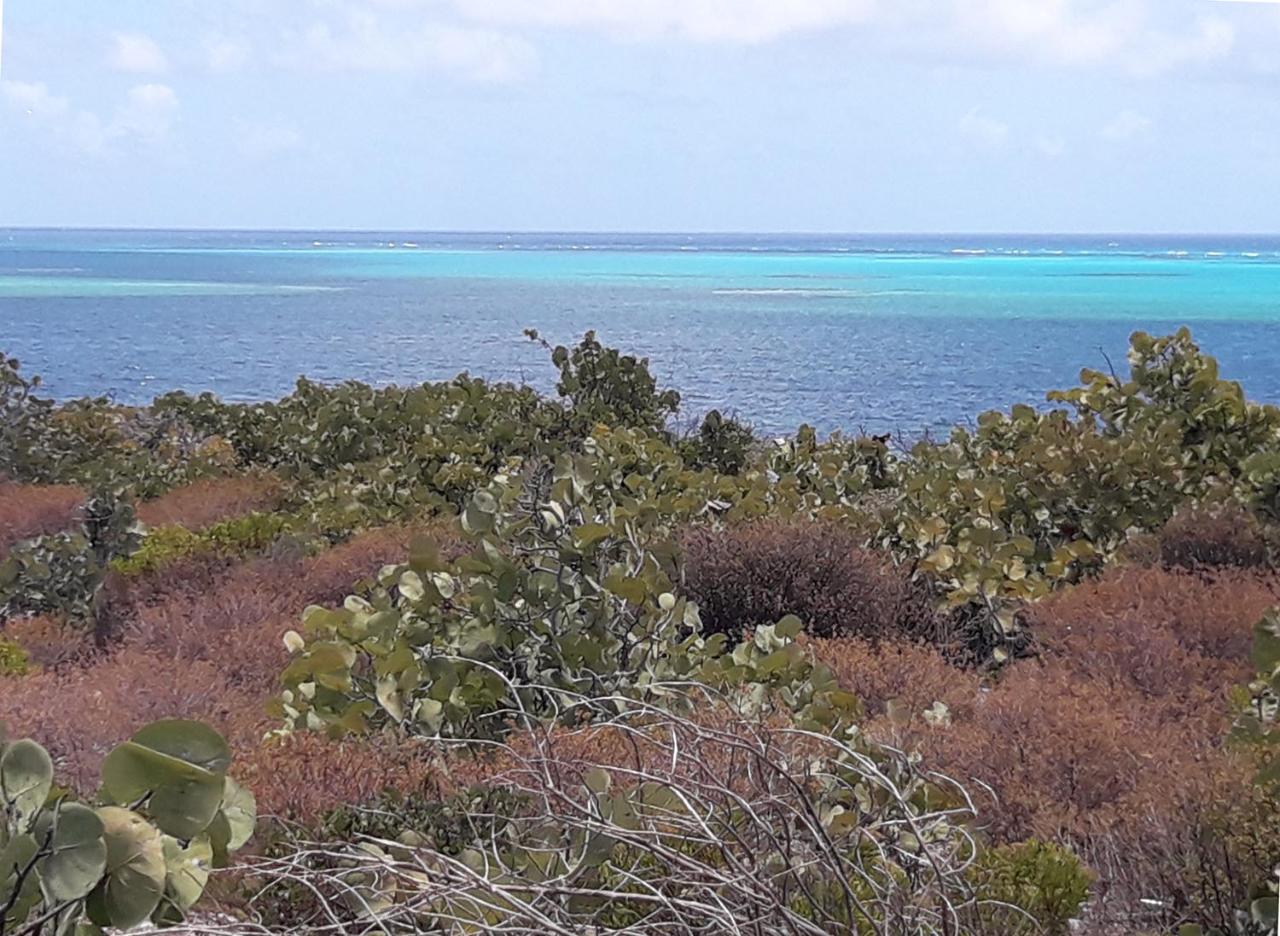 BEACHFRONT PANORAMIC VIEW