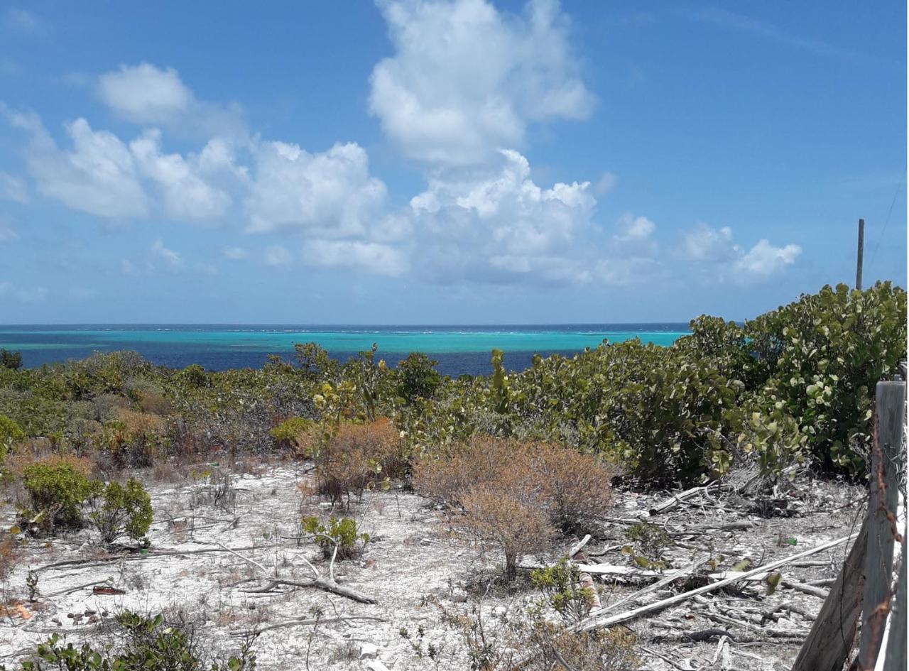 BEACHFRONT PANORAMIC VIEW