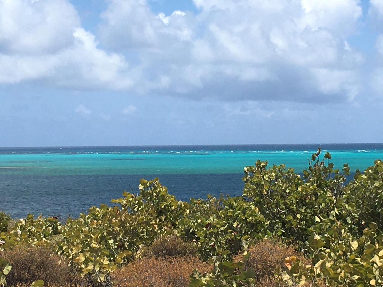 BEACHFRONT PANORAMIC VIEW