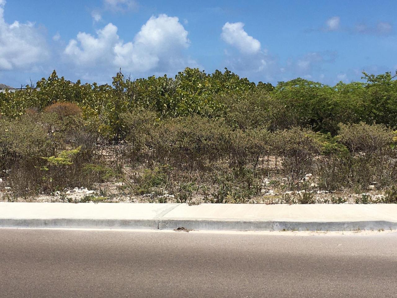 BEACHFRONT PANORAMIC VIEW