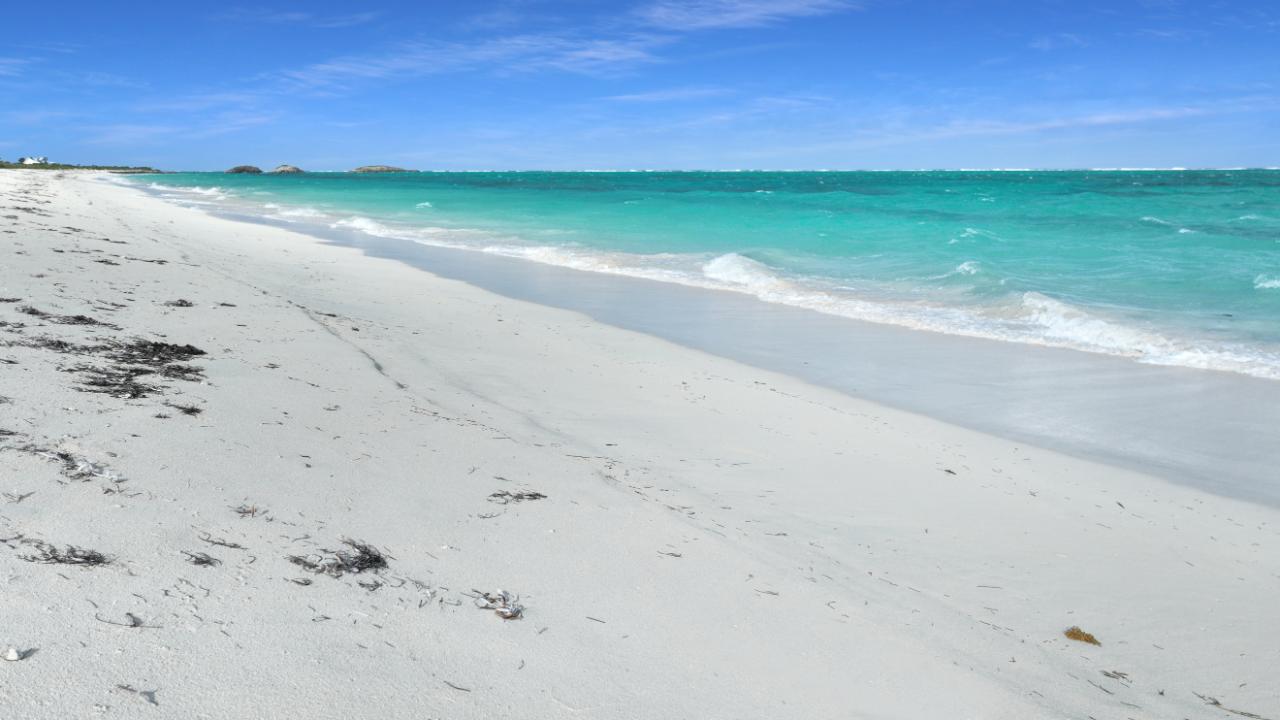 25 ACRES BEACHFRONT WHITBY HAVEN N.C.