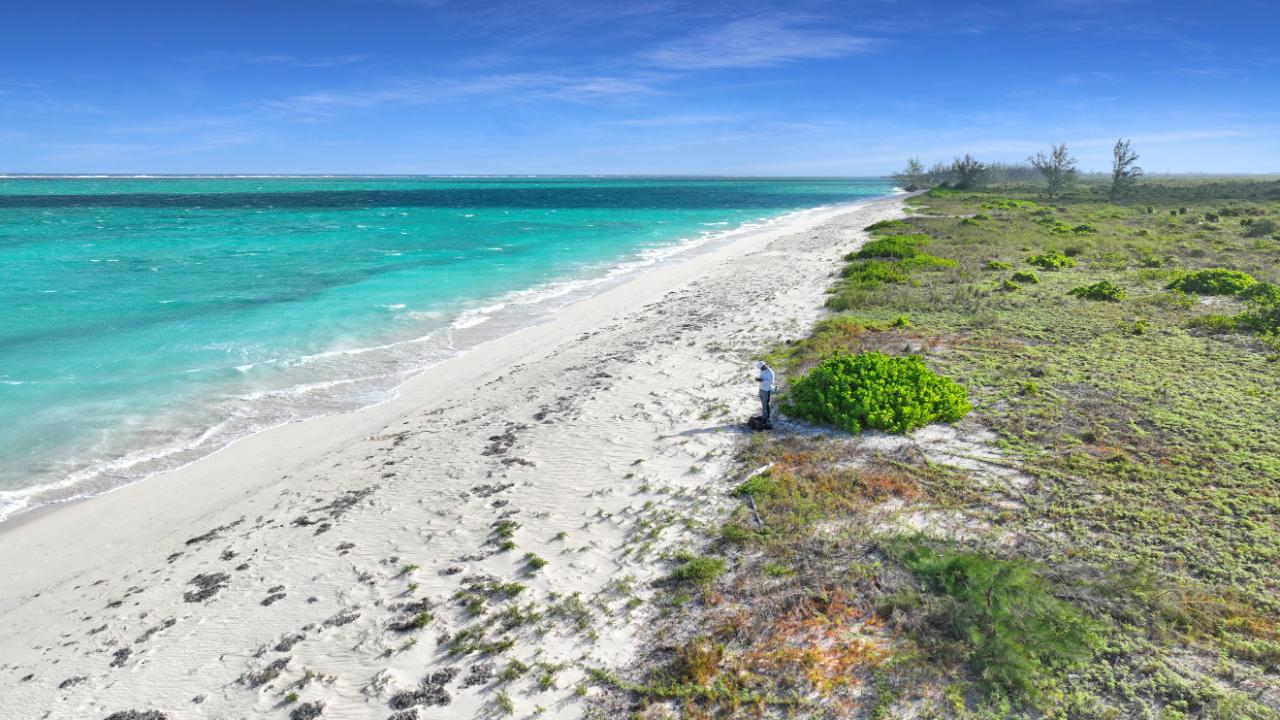 25 ACRES BEACHFRONT WHITBY HAVEN N.C.