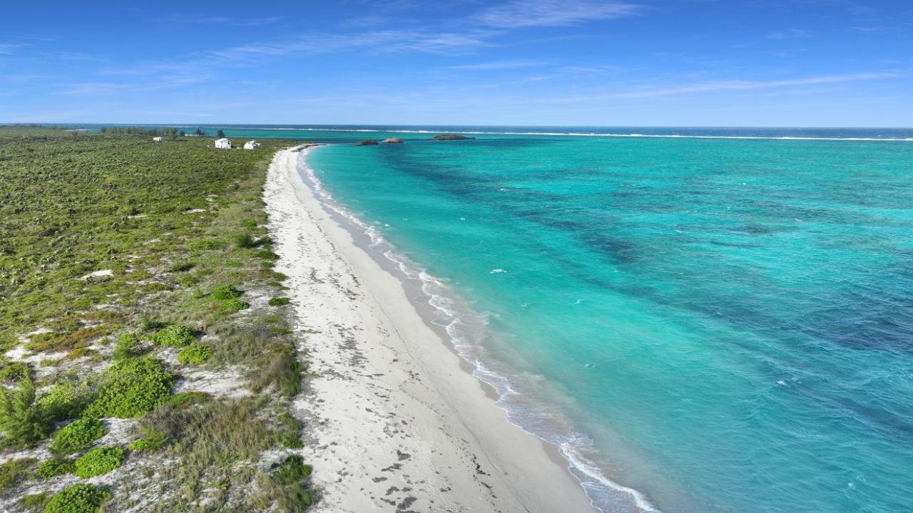 25 ACRES BEACHFRONT WHITBY HAVEN N.C.