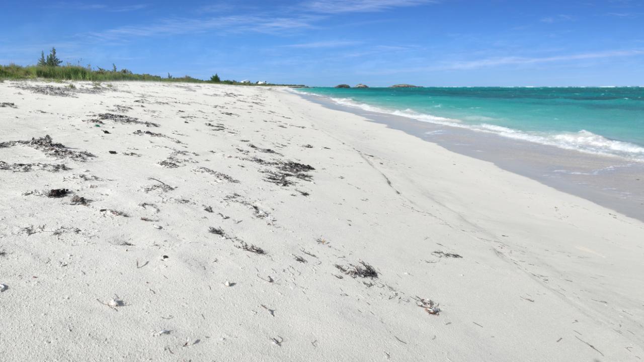 25 ACRES BEACHFRONT WHITBY HAVEN N.C.