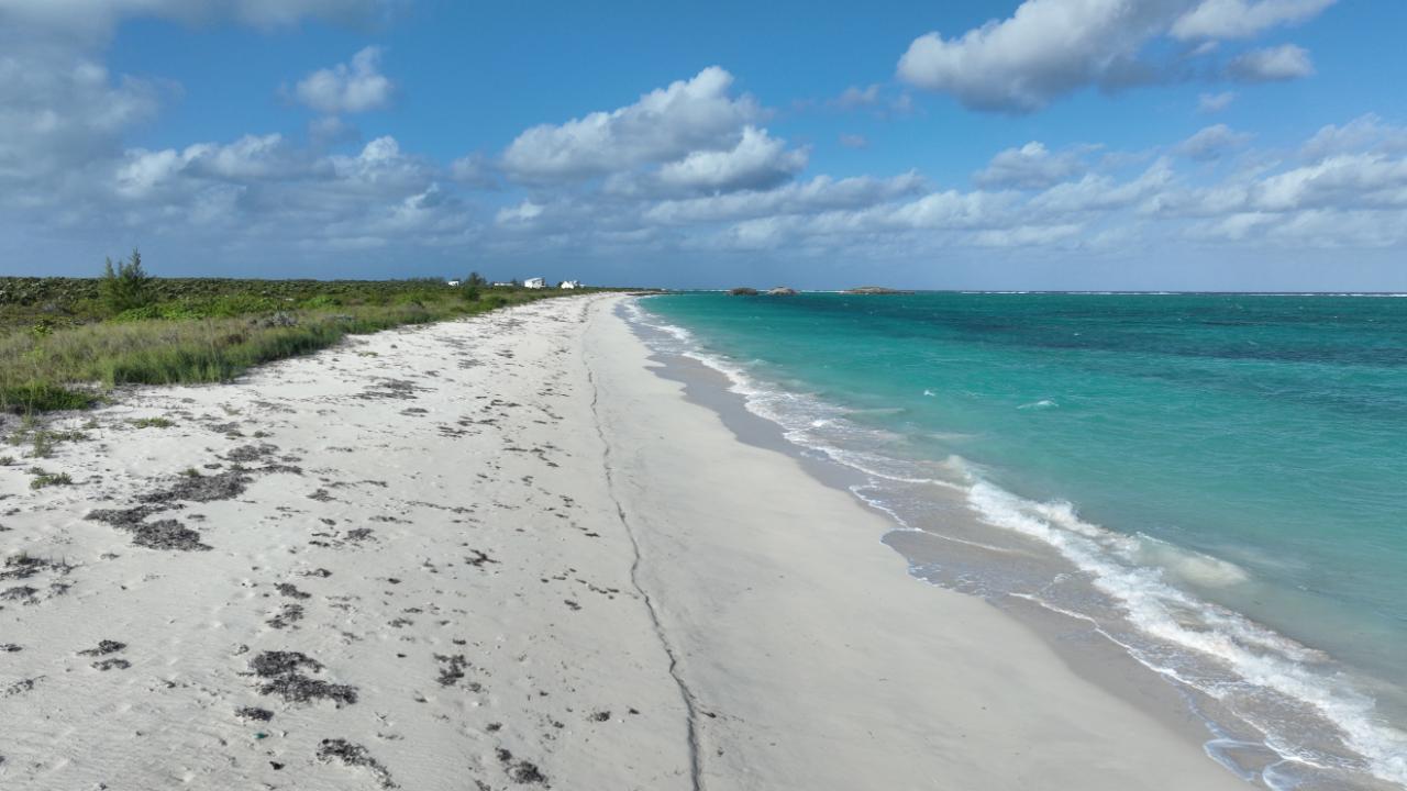 25 ACRES BEACHFRONT WHITBY HAVEN N.C.