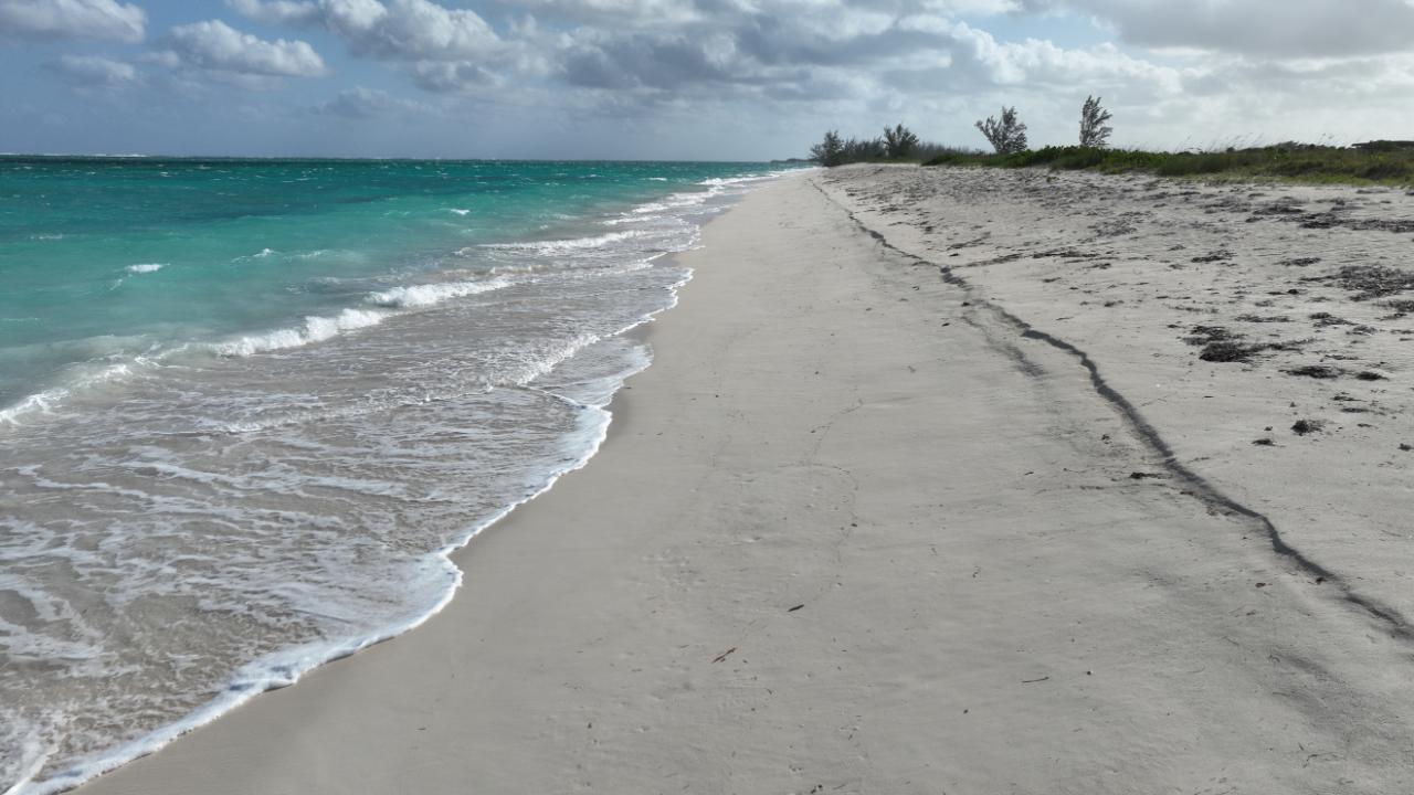 25 ACRES BEACHFRONT WHITBY HAVEN N.C.