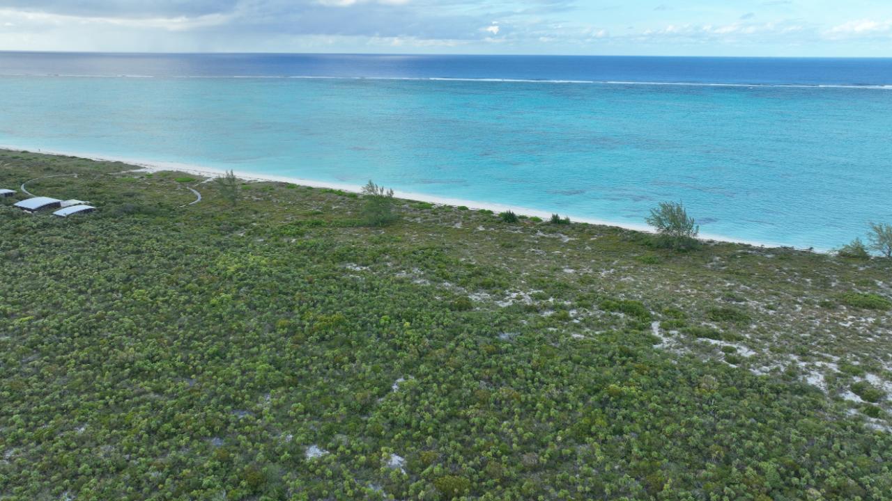 25 ACRES BEACHFRONT WHITBY HAVEN N.C.