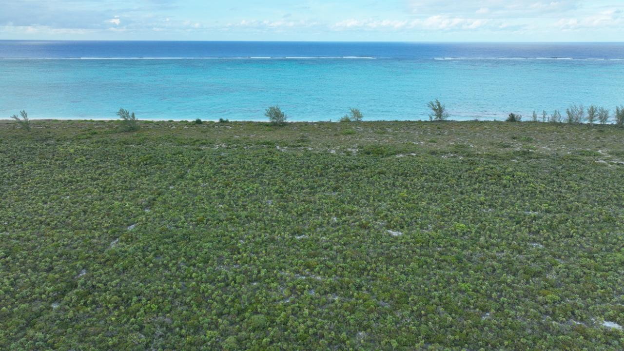 25 ACRES BEACHFRONT WHITBY HAVEN N.C.