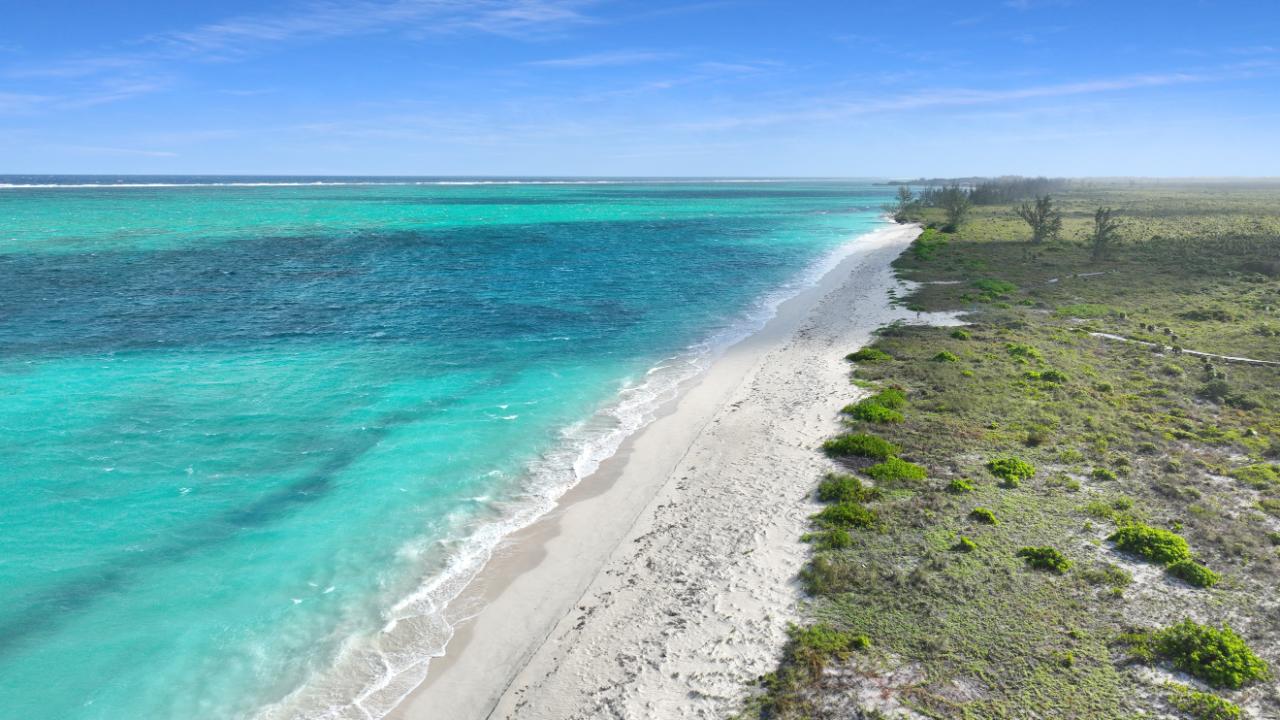 25 ACRES BEACHFRONT WHITBY HAVEN N.C.