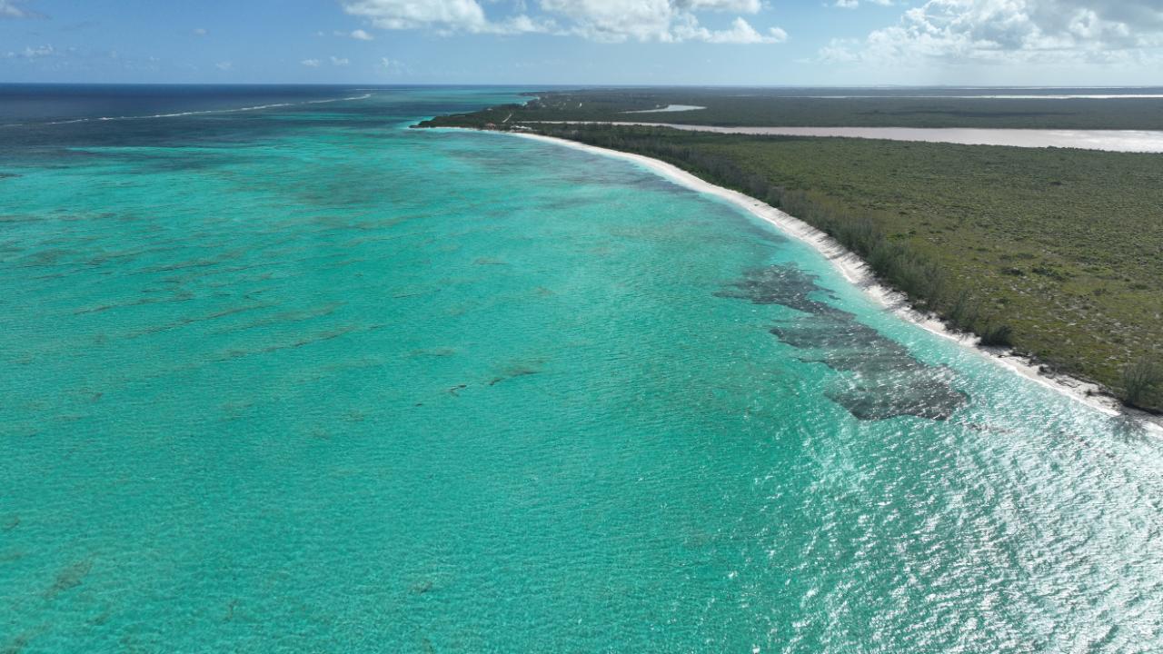 25 ACRES BEACHFRONT WHITBY HAVEN N.C.