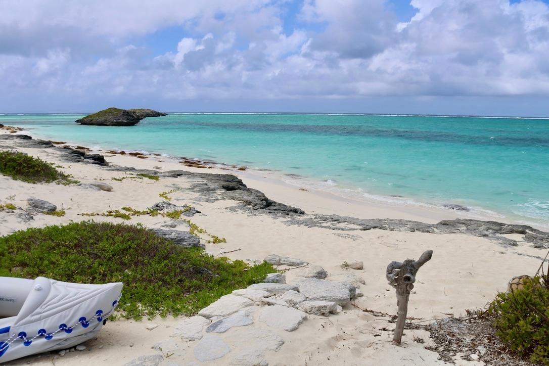 Wild Orchid Villa