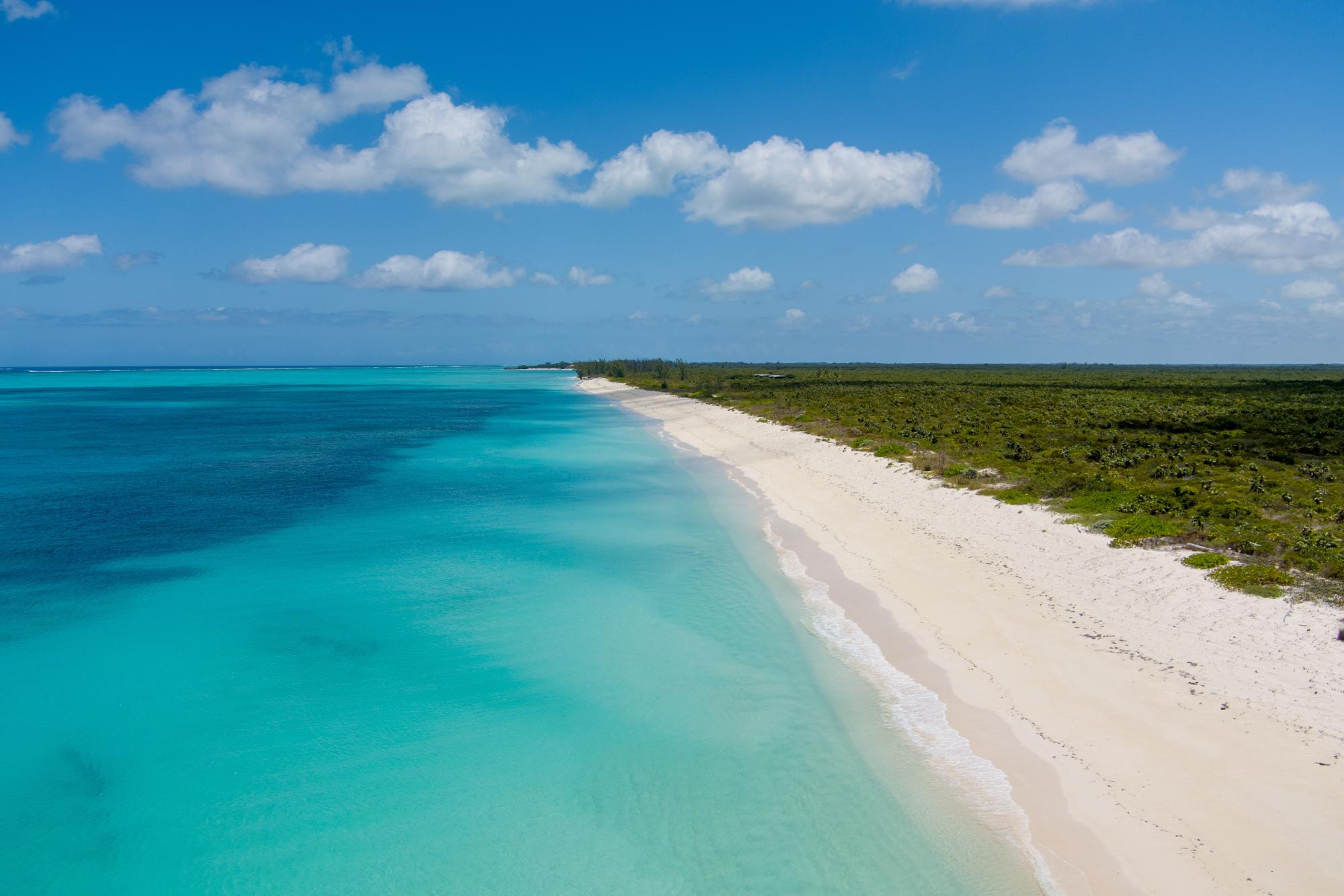 Wild Orchid Villa