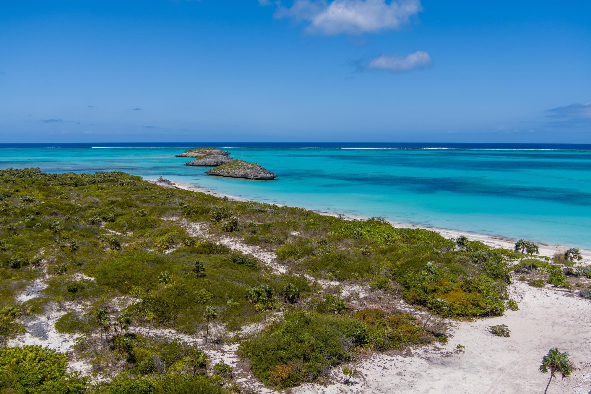 Wild Orchid Villa